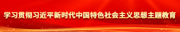 操逼黄书学习贯彻习近平新时代中国特色社会主义思想主题教育